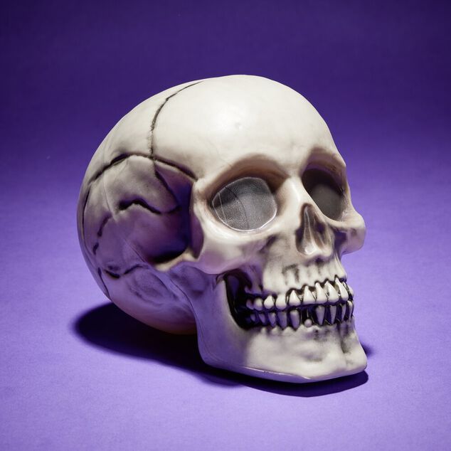 Cr&acirc;ne d&eacute;coration Halloween 19x15xH16cm