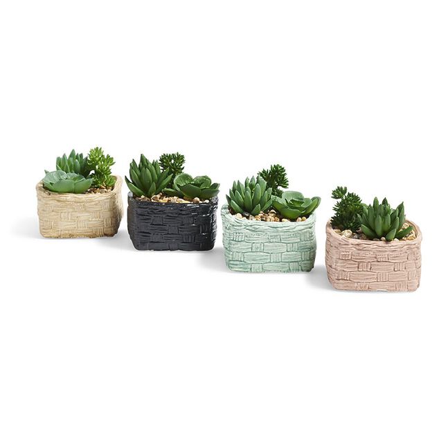 Plante grasse artificielle pot c&eacute;ramique style panier effet pierre