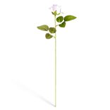 Fleur artificielle rose blanche et rose H51cm