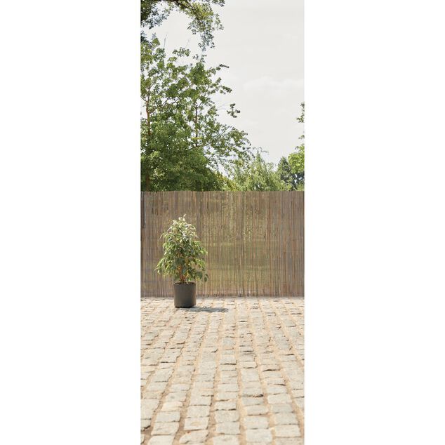 Brise-vue en bambou L300xH100cm