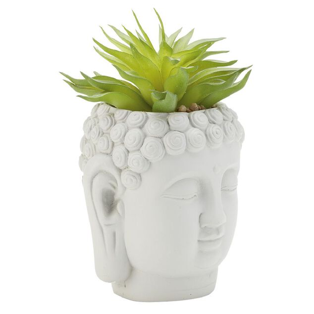 T&ecirc;te Bouddha avec plante