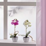 Pot orchid&eacute;e artificielle rose H16cm