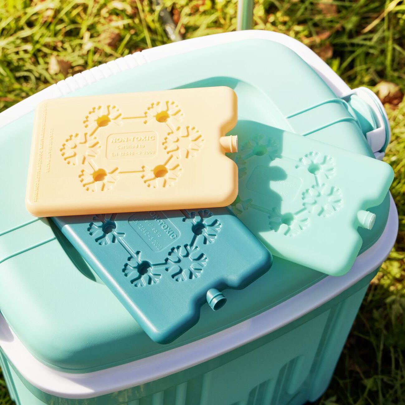 Lot De 2 Blocs Réfrigérants 200g – Pour Boîte à Lunch, Sac Isotherme, Médicaments Et Sorties