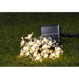 Guirlande ext&eacute;rieure solaire 20LED forme fleur 7,8m