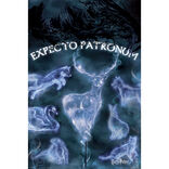 Poster Harry Potter - Patronus