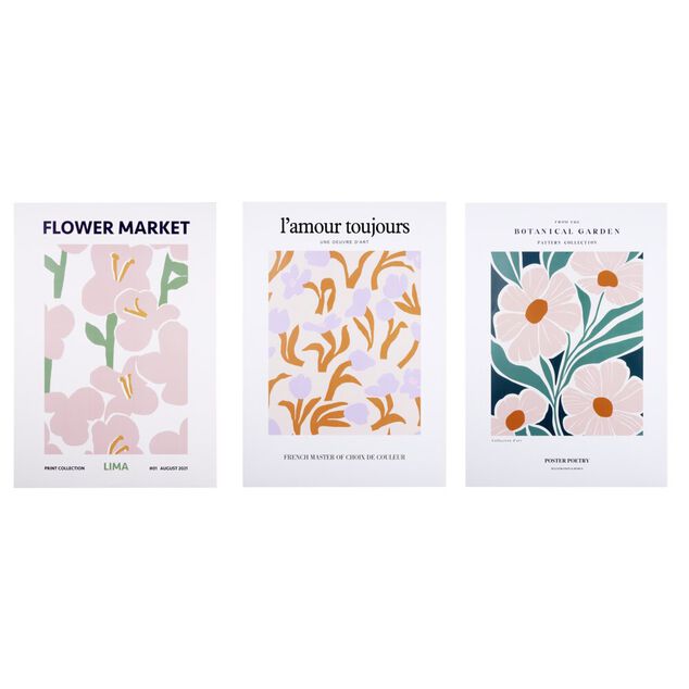 Poster papier x3 th&egrave;me floral 50x70cm (3 mod&egrave;les)