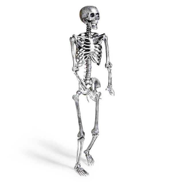 Squelette articul&eacute; Halloween H150cm plastique argent&eacute;