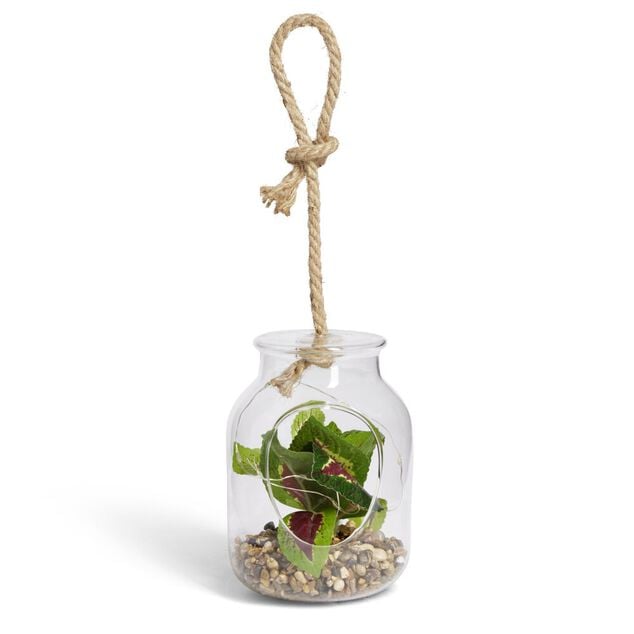 Pot en verre LED avec plante artificielle succulente &Oslash;11,5xH15,5cm