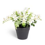 Plante artificielle fleurs blanches H14cm