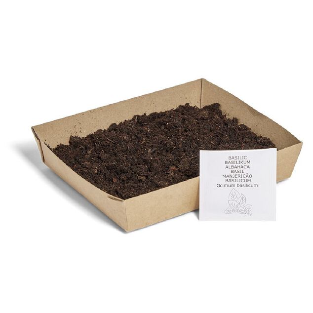 Bac de culture basilic avec graines et terreau