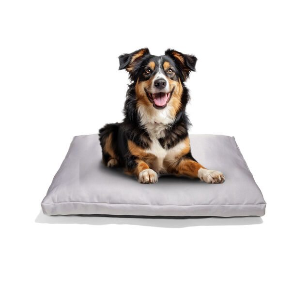 Couchage chien 71x45cm (2 mod&egrave;les)