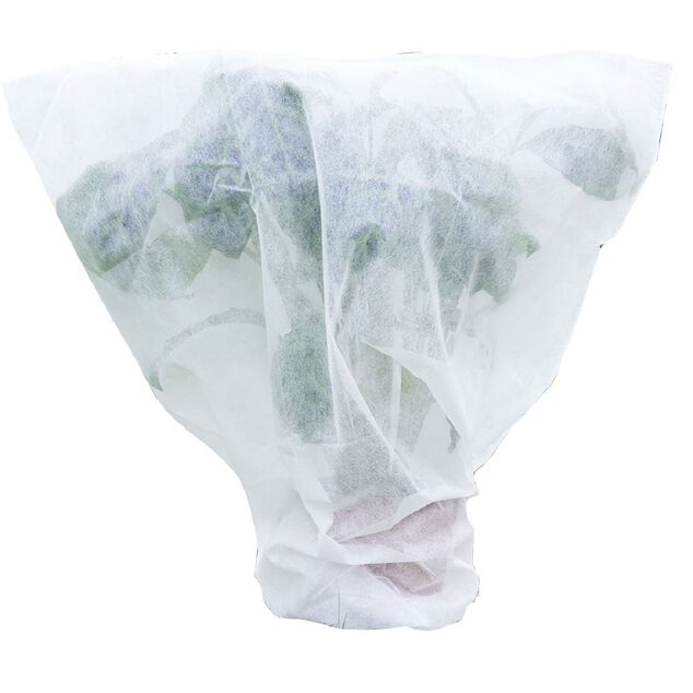 Voile d'hivernage blanc 2x5m 30g/m²