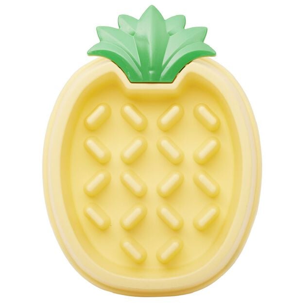 Gamelle pour chien anti-glouton