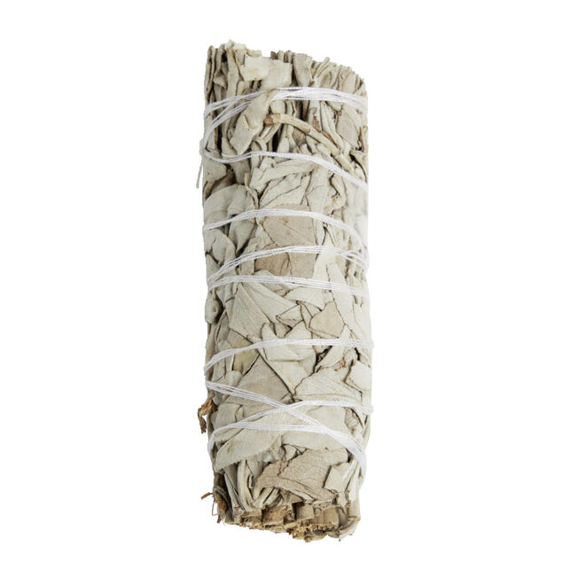 Sauge blanche &Oslash;2,5xL10cm