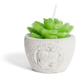 Bougie plante dans pot ciment &Oslash;5xH7cm