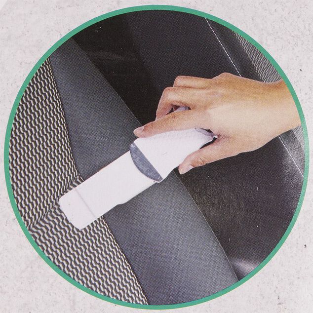 Brosse attrape poils plate auto nettoyante double face