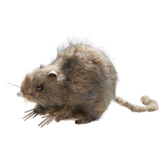 Rat noir ou marron d&eacute;coration Halloween