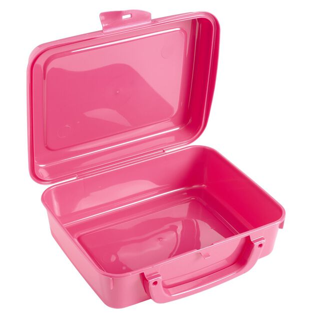 Bo&icirc;te &agrave; sandwich rectangulaire plastique color&eacute; 20x16xH7cm (3 mod&egrave;les)