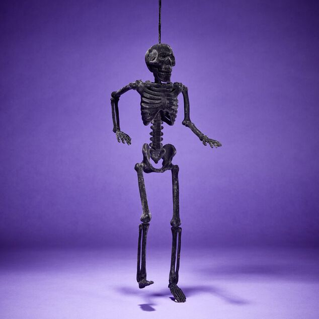 Squelette &agrave; suspendre Halloween H40cm