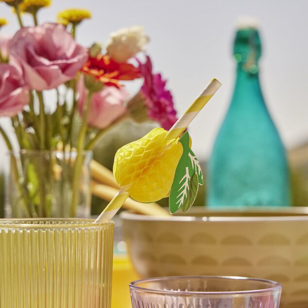 Lot de 12 pailles en papier design fruit