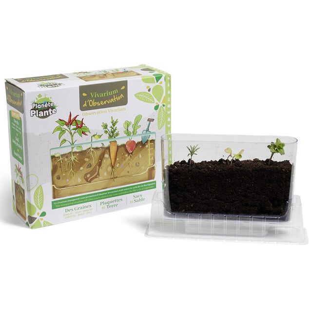 Vivarium d'observation racines de l&eacute;gumes