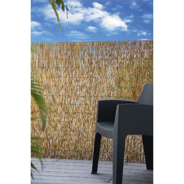 Canisse en paillon de roseaux pel&eacute;s L500 x H150 cm