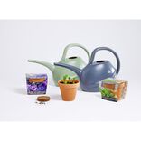 Pot terre cuite culture m&eacute;lange fleurs bleues avec graines et terreau H8cm