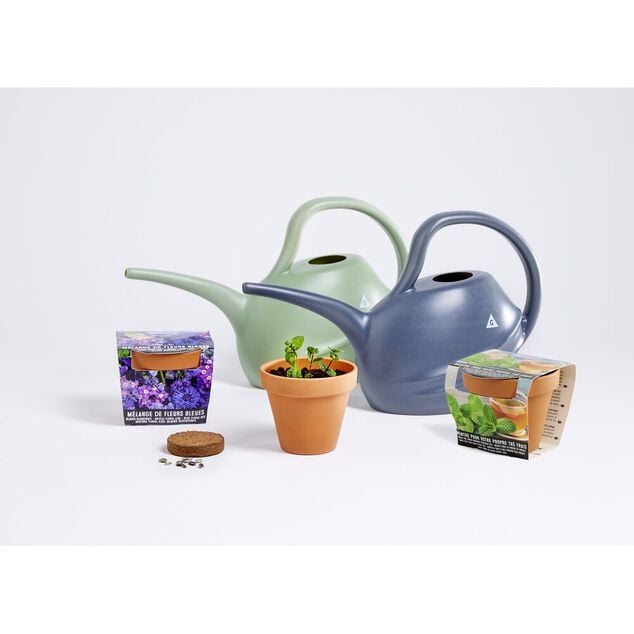 Pot terre cuite culture m&eacute;lange fleurs bleues avec graines et terreau H8cm