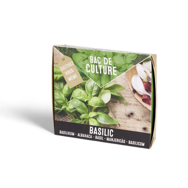 Bac de culture basilic avec graines et terreau