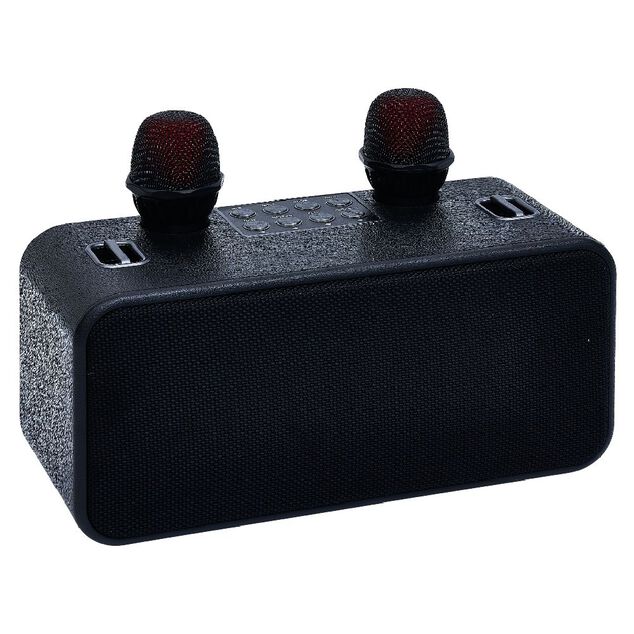 Enceinte karaok&eacute; 2 micros Homday Party