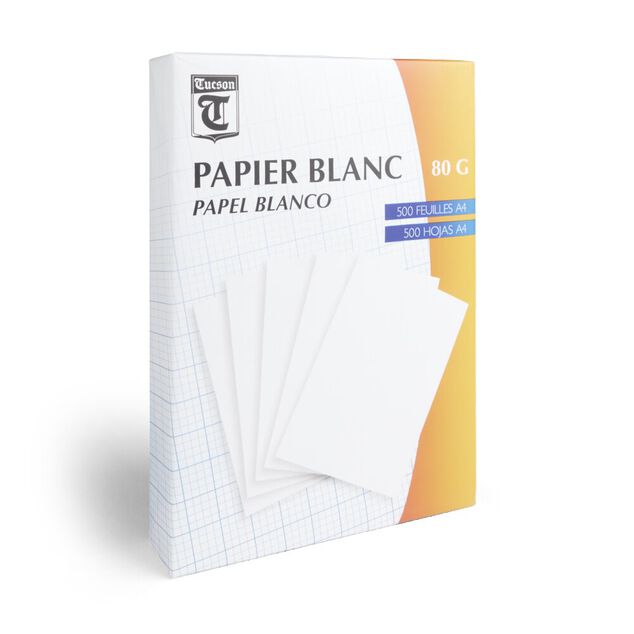 Lot de 500 feuilles de papier blanc A4 80g