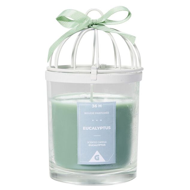 Bougie parfum&eacute;e cage &agrave; oiseau senteur eucalyptus 36H