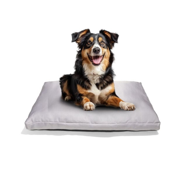 Couchage chien 71x45cm (2 mod&egrave;les)