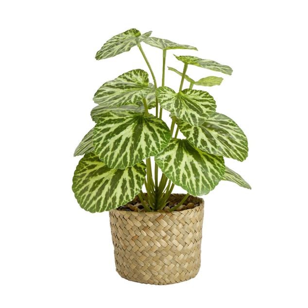 Plante verte artificielle en pot panier &Oslash;12xH30cm - 2 mod&egrave;les