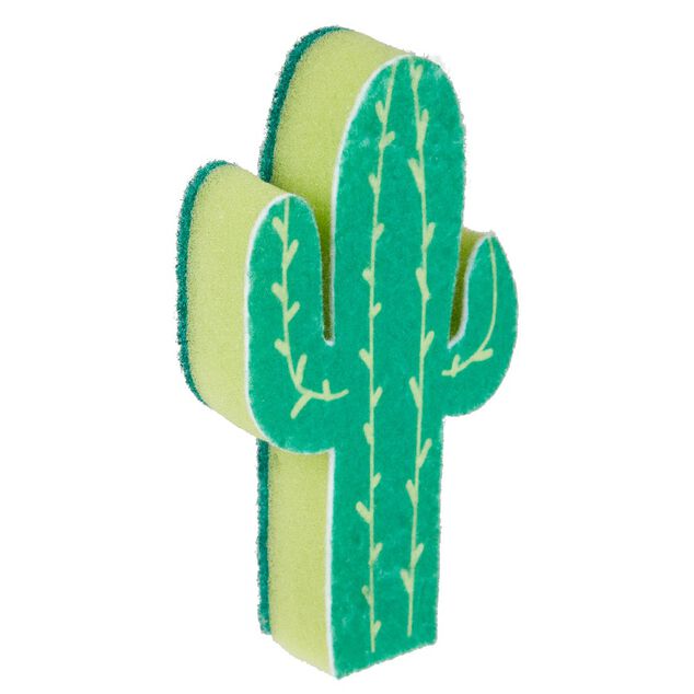 &Eacute;ponge cactus