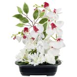 Plateau statuette Vierge cl&eacute;matite orchid&eacute;e artificielle blanche H40cm