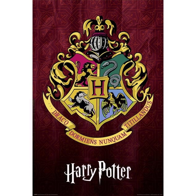 Poster Harry Potter - Hogwarts School