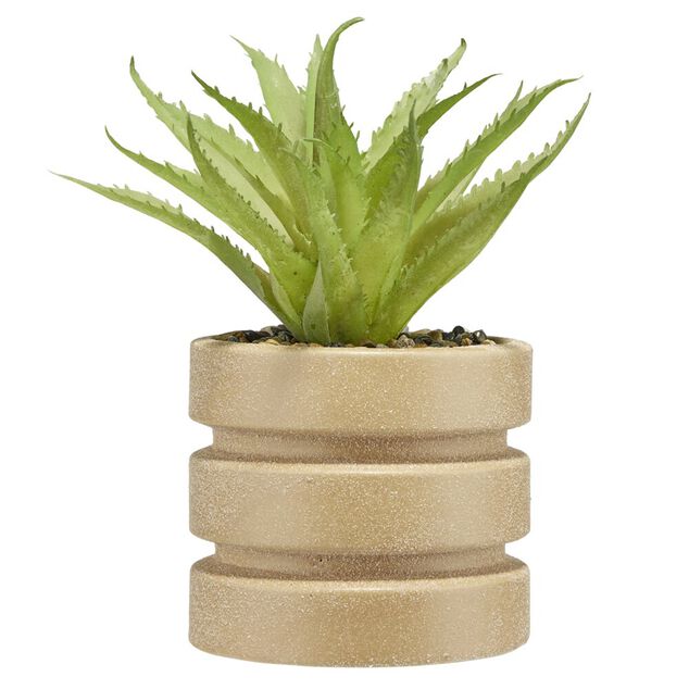 Plante grasse artificielle pot rond c&eacute;ramique beige &Oslash;12xH28cm (2 mod&egrave;les)