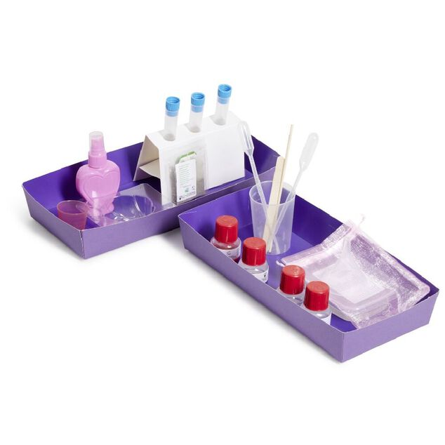 Kit cr&eacute;ation savon et parfum