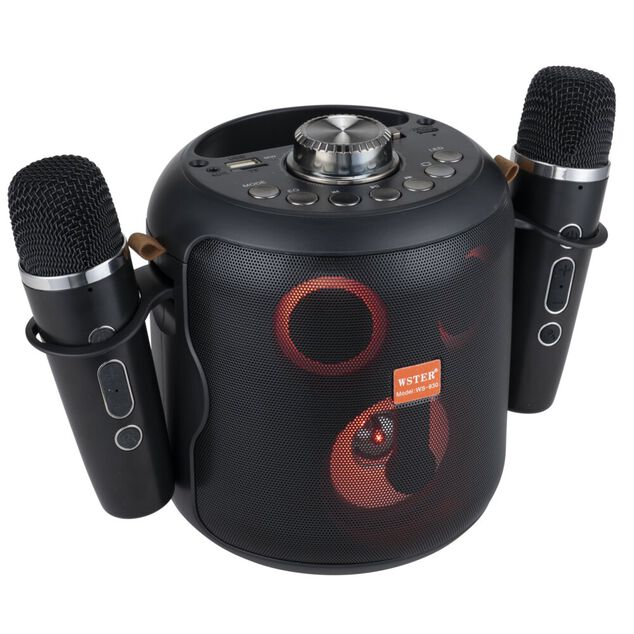 Enceinte karaok&eacute; bluetooth avec micro x2 lumineuse Homday H149cm 15W