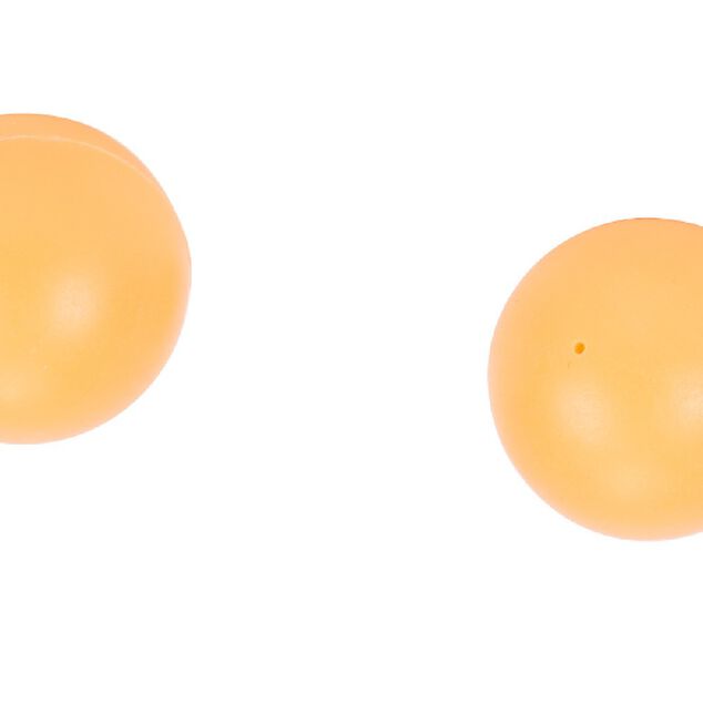 Lance balle + 2 balles