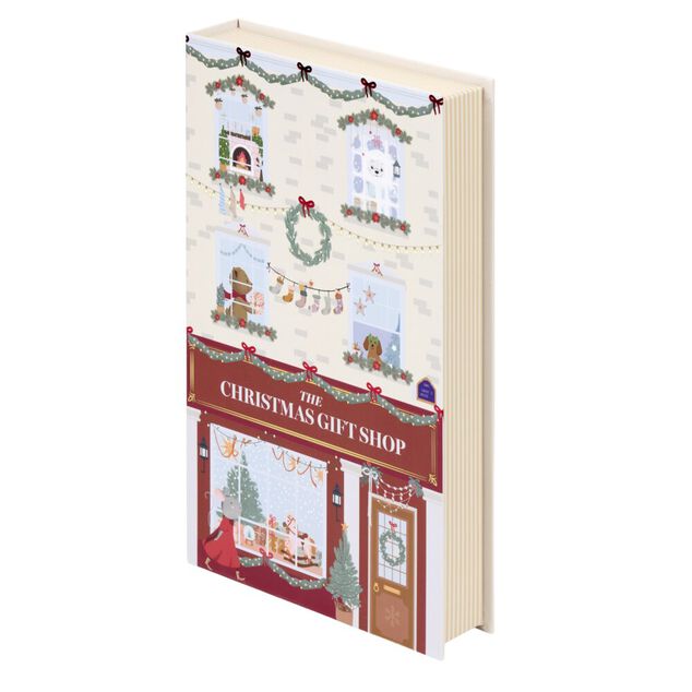 Bo&icirc;te livre d&eacute;corative de No&euml;l H24cm (2 mod&egrave;les)