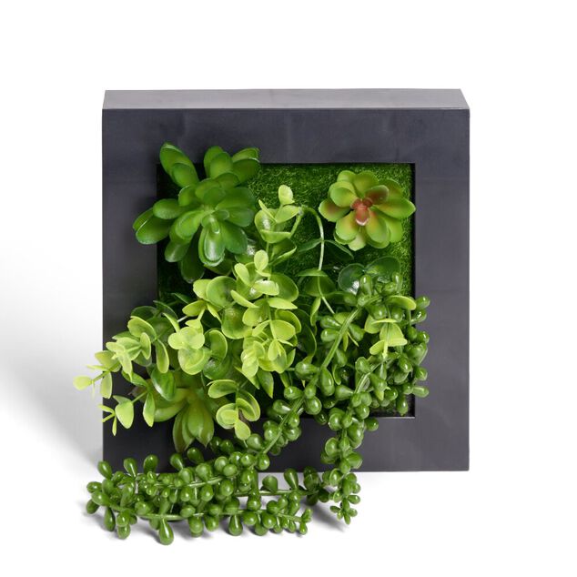 Plante artificielle d&eacute;coration murale cadre bois noir 20x20cm