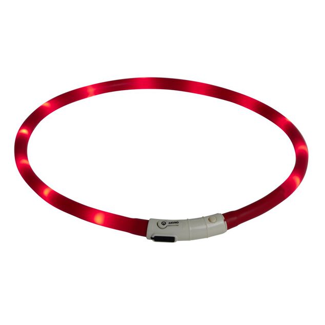Collier pour chien tube silicone lumineuxLED rechargeable USB
