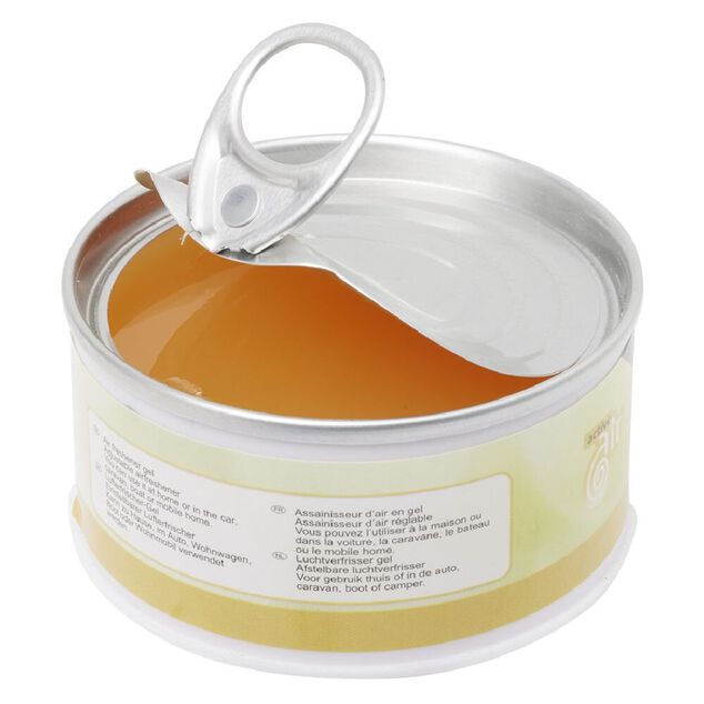 D&eacute;sodorisant gel parfum&eacute; 70g