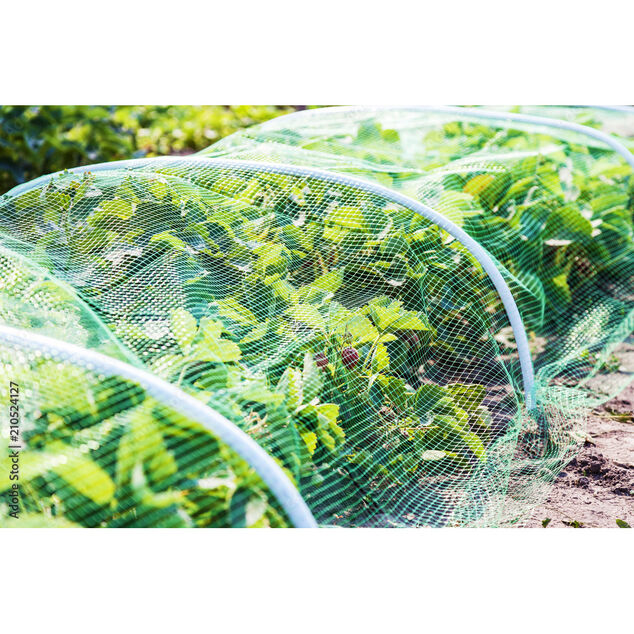 Moustiquaire multi-usage Out Insect noir 130xL500cm