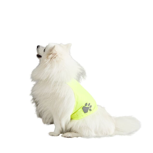 Gilet de s&eacute;curit&eacute; pour chien r&eacute;fl&eacute;chissant Taille M