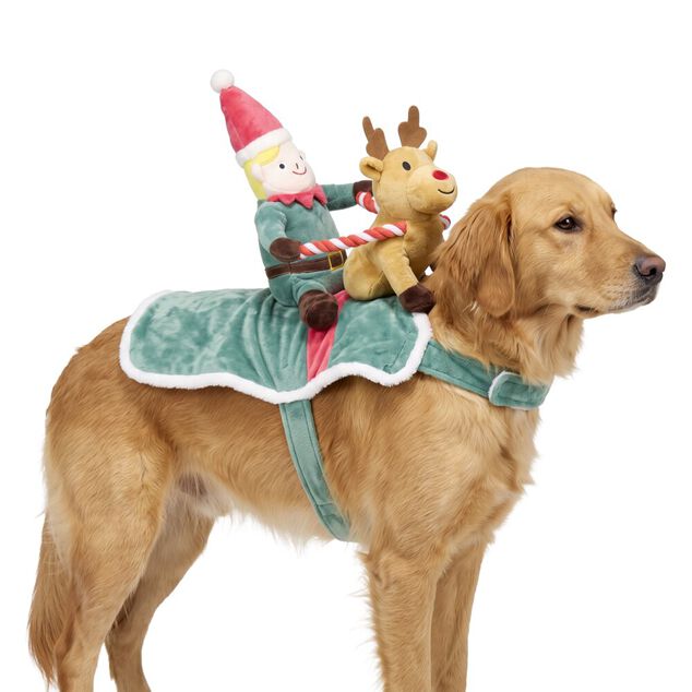 D&eacute;guisement pour chien lutin et son renne polyester L50X20X15 cm TM
