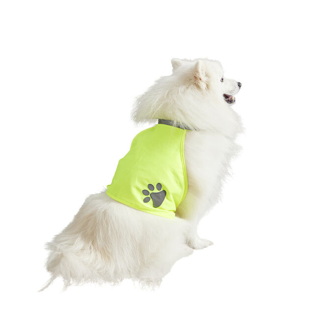 Gilet de s&eacute;curit&eacute; pour chien r&eacute;fl&eacute;chissant Taille M