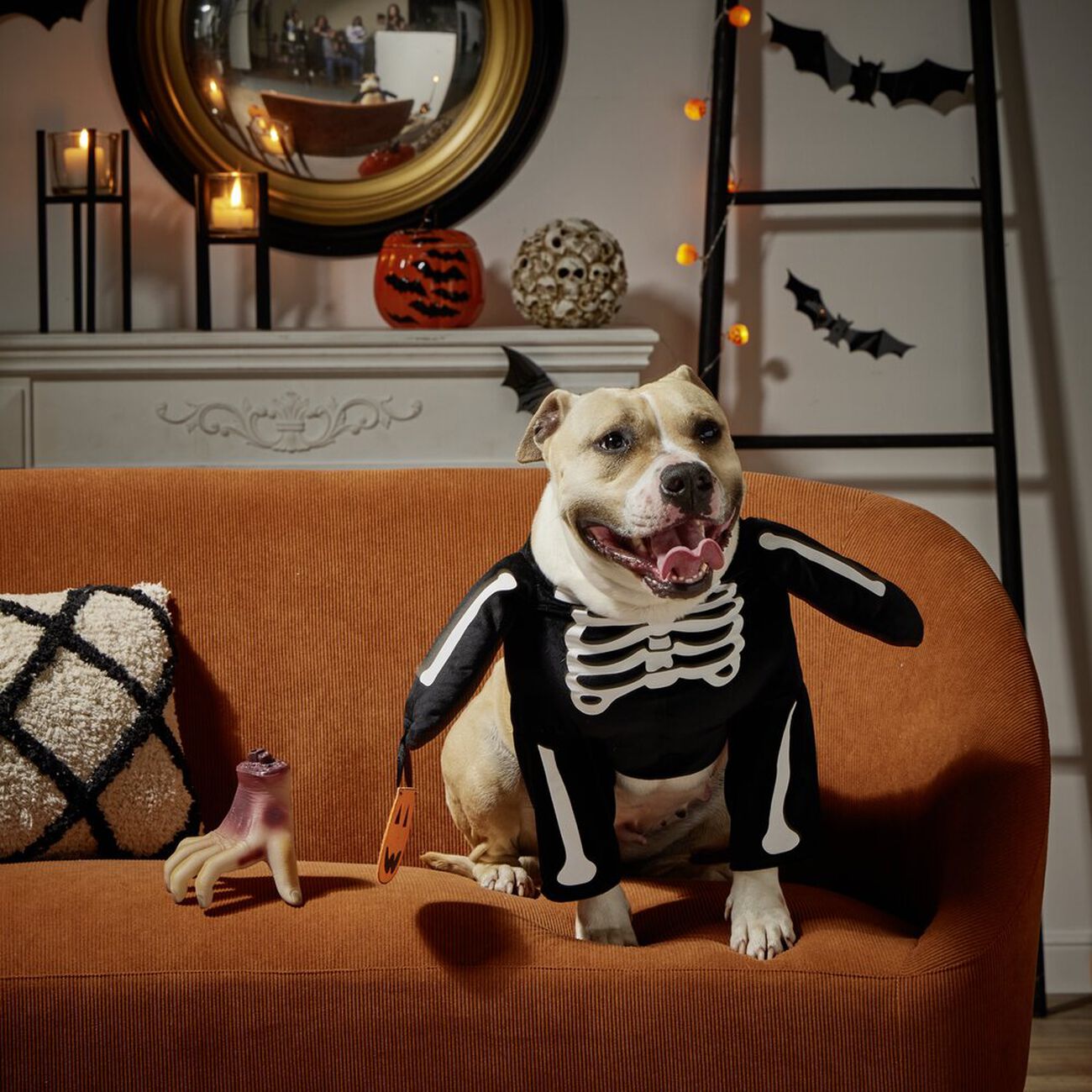 Costume D'halloween Pour Chien, Halloween Vêtements Pour Animaux, Jeux De Rôle Et Deguisement Pour Chien, Costume Cosplay Pour Chien Costume De Noël